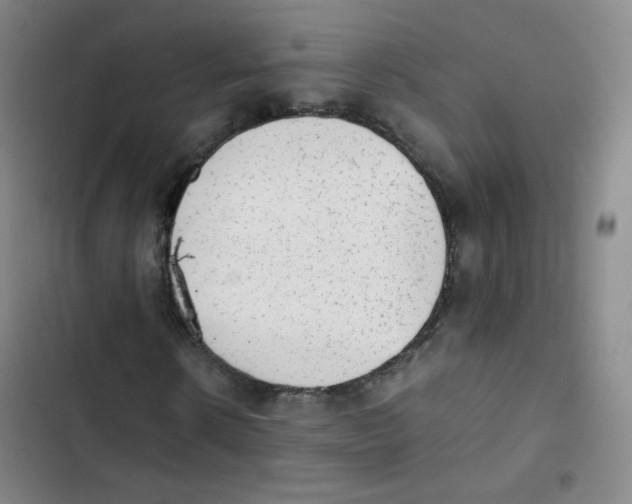 X0000102860914200809151207