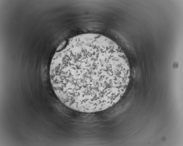 X0000102860915200809151207