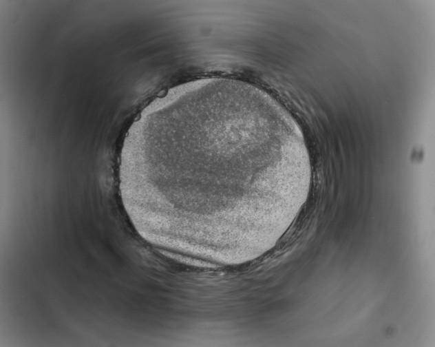 X0000102860916200809151207