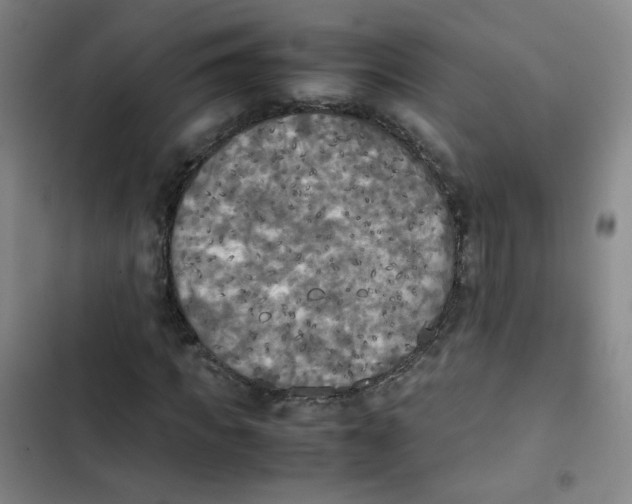 X0000102860917200809151207