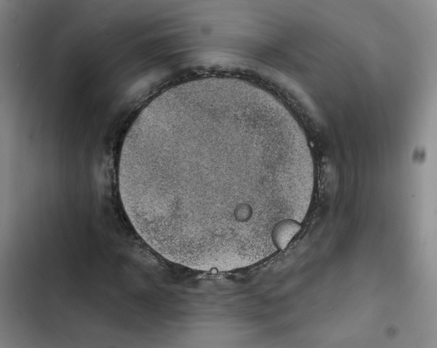 X0000102860918200809151207