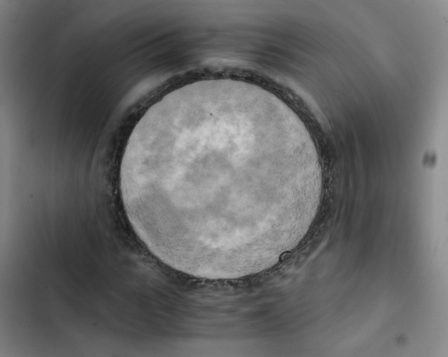 X0000102860919200809151207