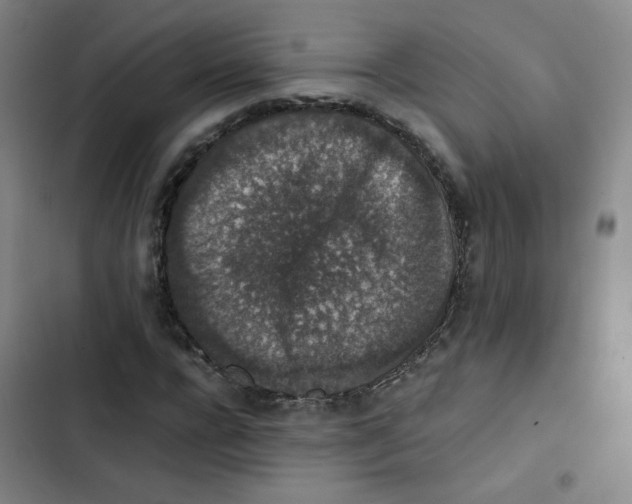 X0000102860920200809151207