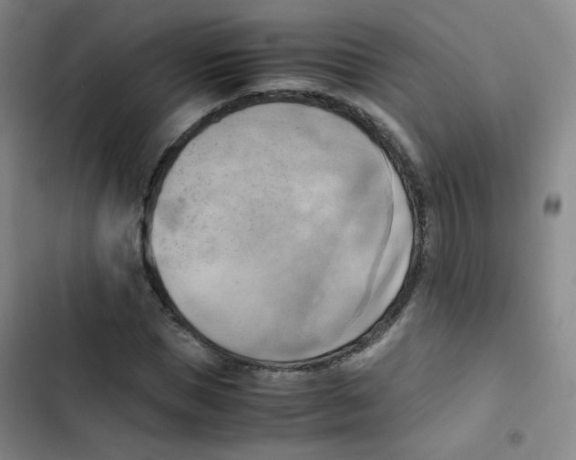 X0000102860921200809151207