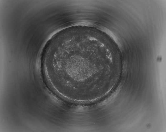 X0000102860923200809151207