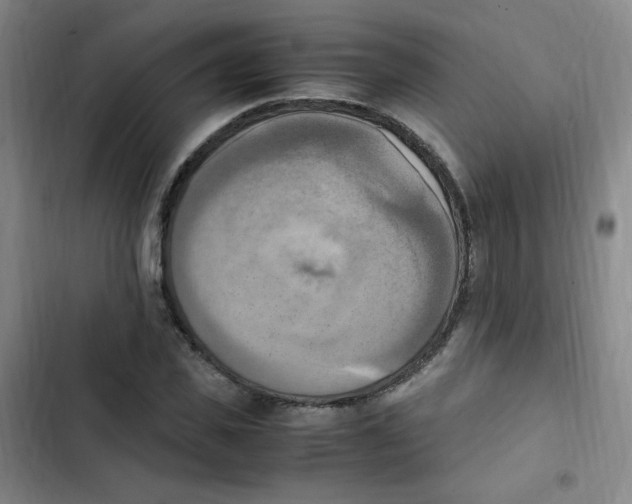 X0000102860925200809151207