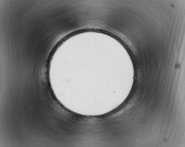 X0000102860926200809151207