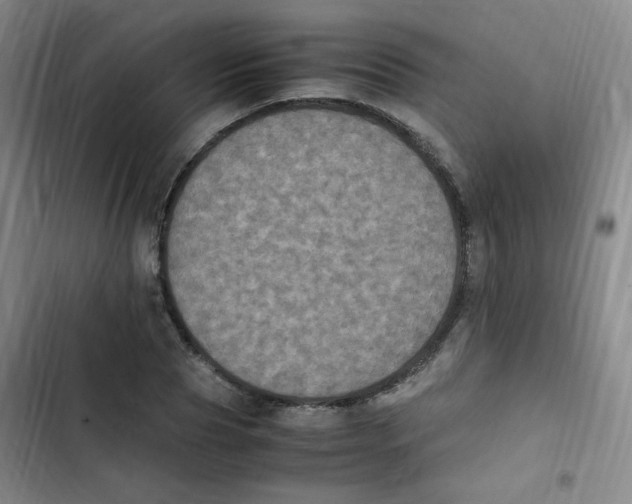 X0000102860929200809151207