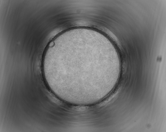 X0000102860930200809151207