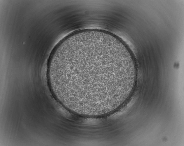 X0000102860933200809151207