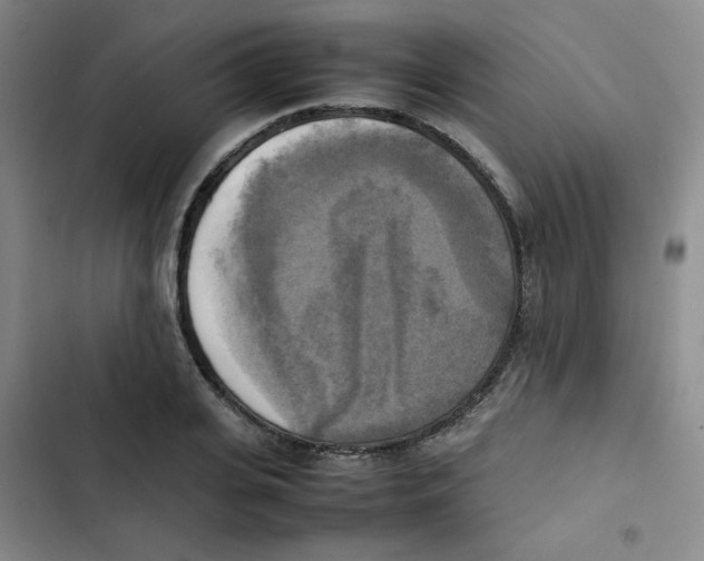 X0000102860935200809151207