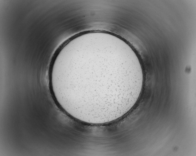 X0000102860936200809151207