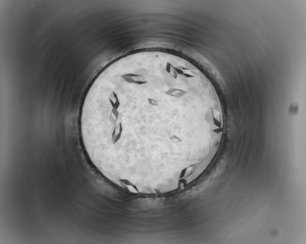 X0000102860937200809151207