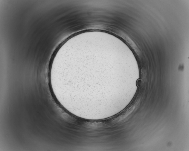 X0000102860939200809151207