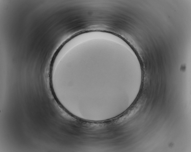 X0000102860941200809151208