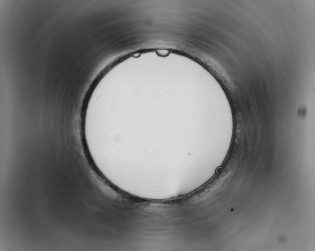 X0000102860942200809151208