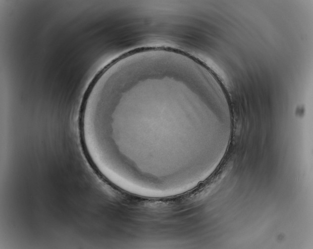 X0000102860943200809151208