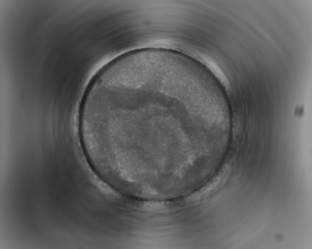 X0000102860944200809151208