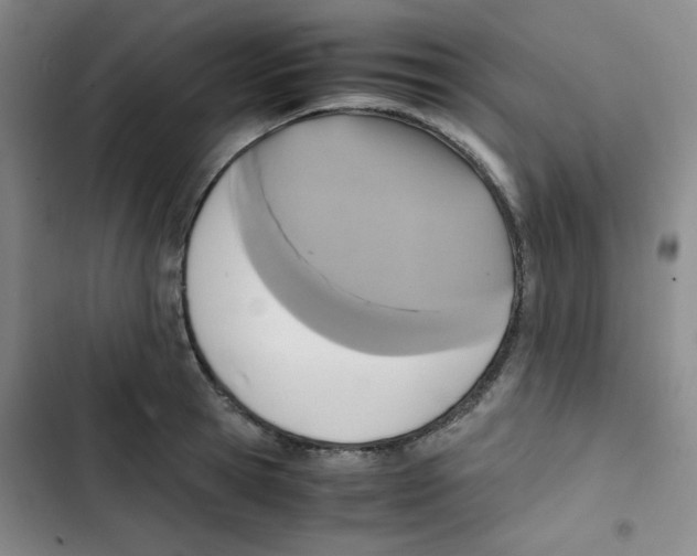 X0000102860945200809151208
