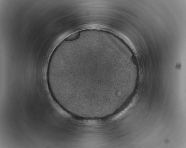 X0000102860946200809151208