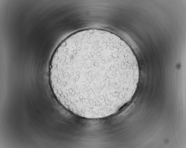 X0000102860948200809151208