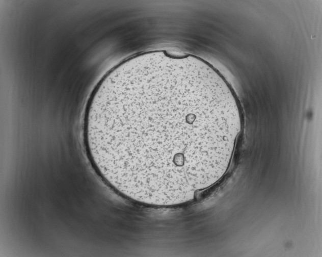 X0000102860949200809151208
