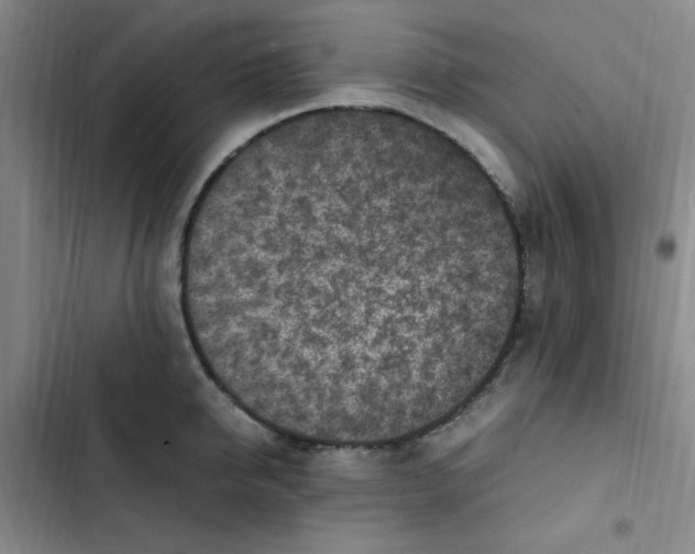 X0000102860950200809151208