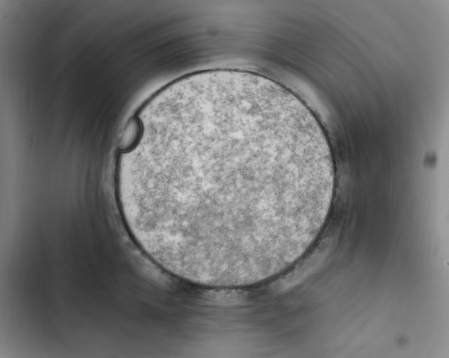 X0000102860952200809151208