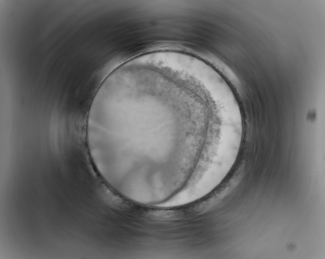 X0000102860953200809151208