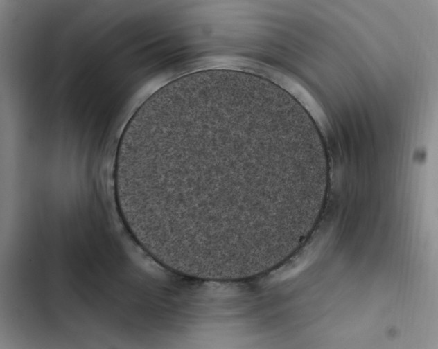 X0000102860954200809151208