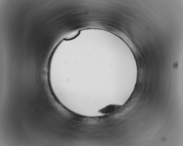X0000102860955200809151208