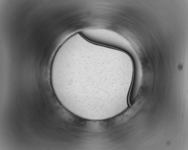 X0000102860956200809151208