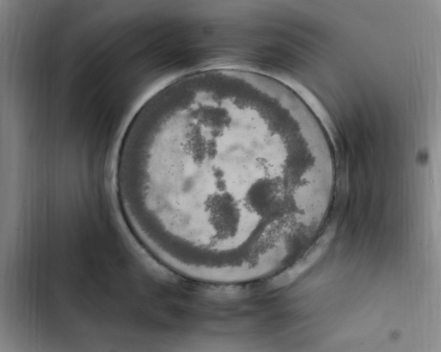 X0000102860957200809151208