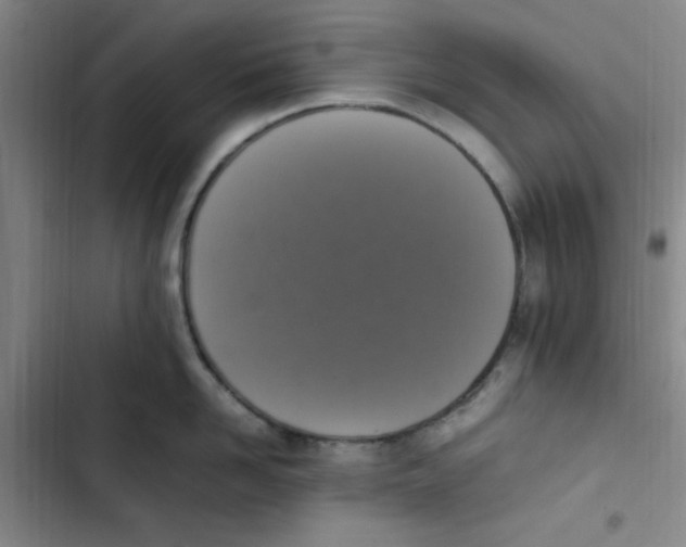 X0000102860958200809151208