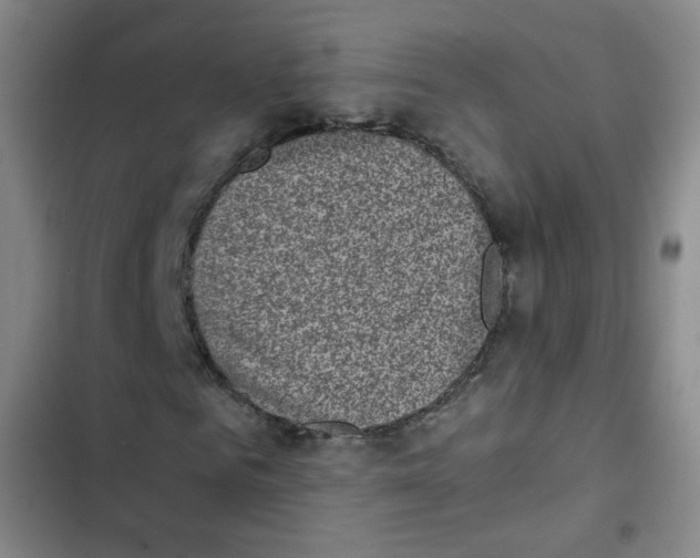 X0000102860961200809151207