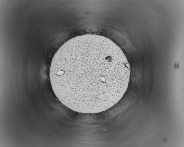 X0000102860962200809151207