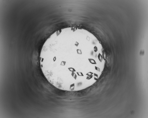 X0000102860963200809151207