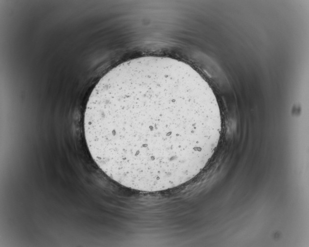 X0000102860964200809151207