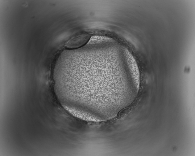 X0000102860965200809151207