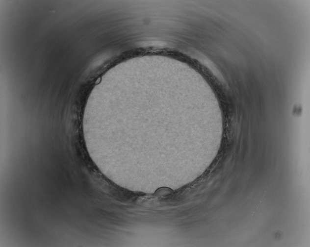 X0000102860967200809151207