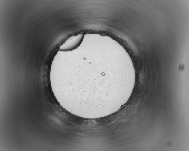 X0000102860968200809151207