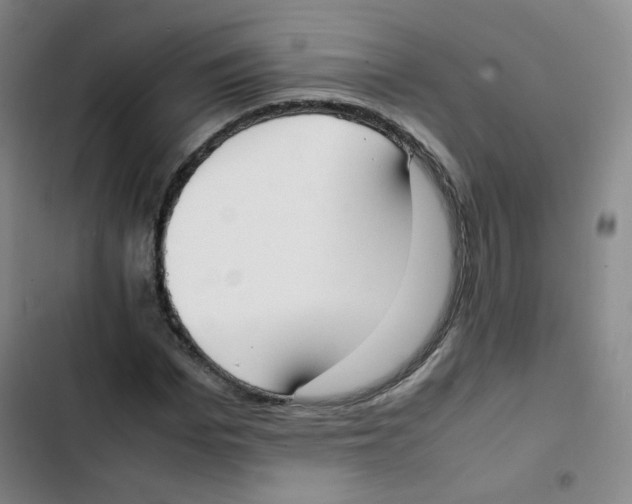 X0000102860969200809151207