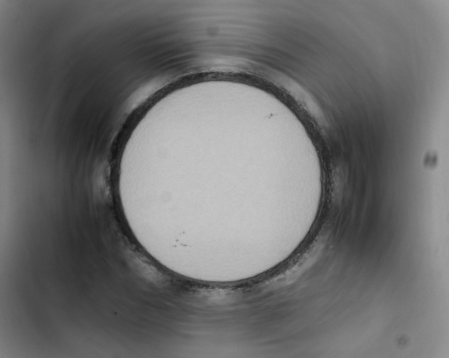 X0000102860970200809151207