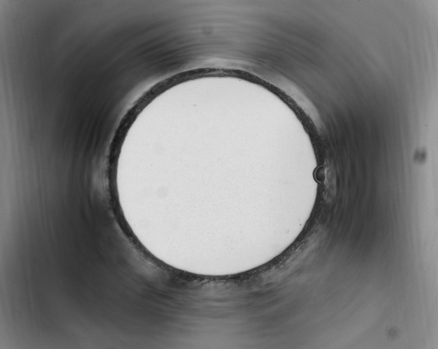 X0000102860972200809151207