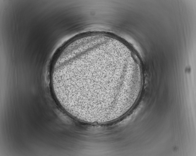X0000102860973200809151207