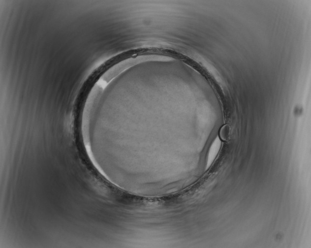 X0000102860975200809151207