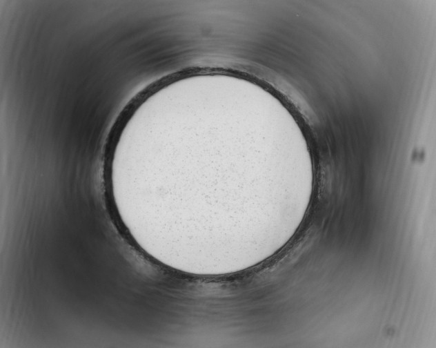 X0000102860976200809151207