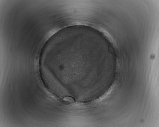 X0000102860977200809151207