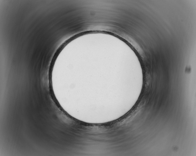 X0000102860980200809151207