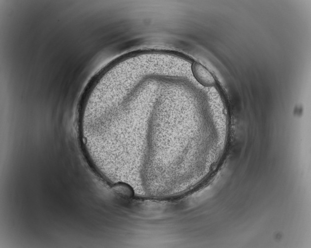 X0000102860981200809151207